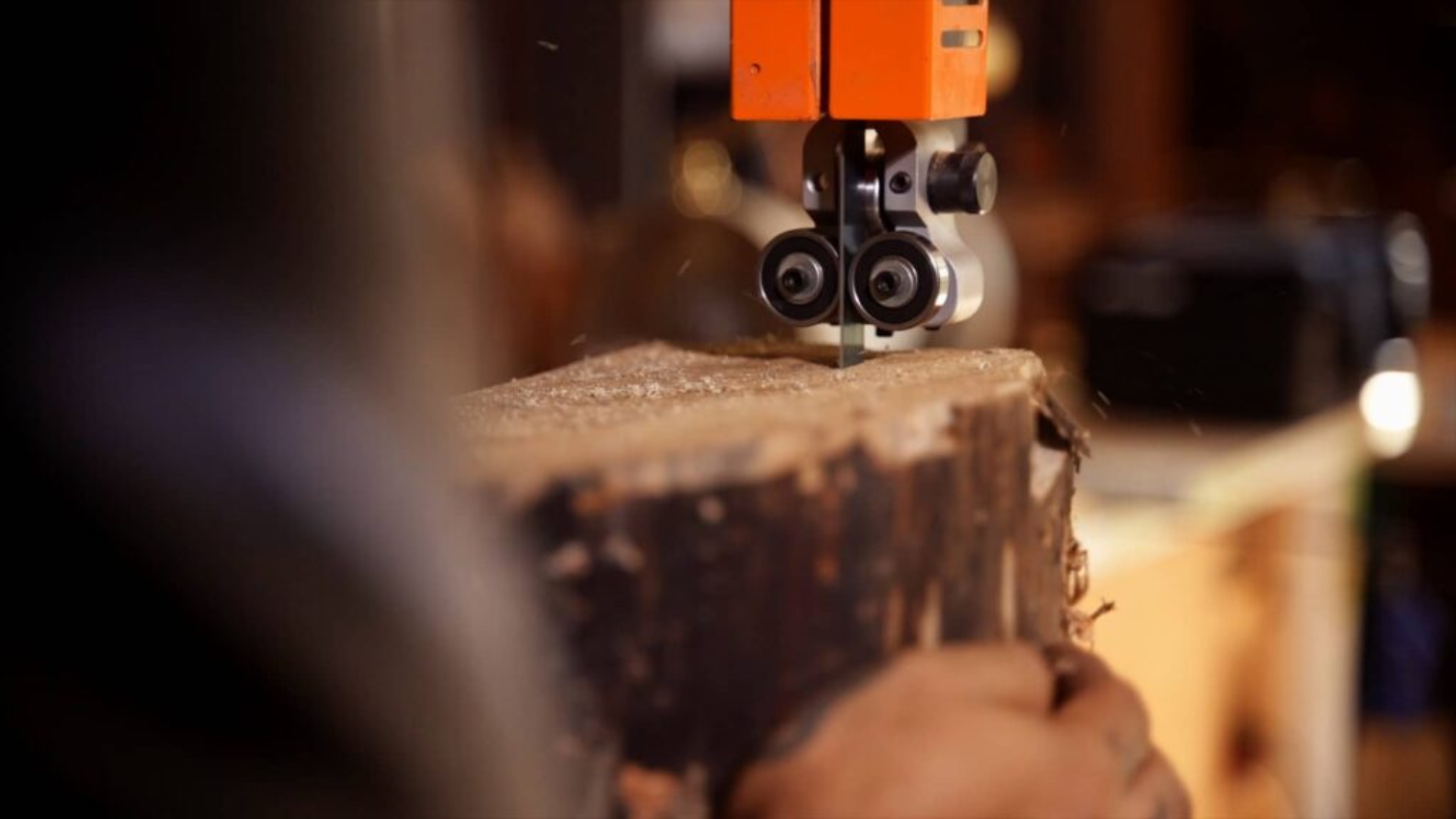 Blade Shapes the Quality of the Cut