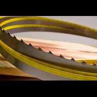 Q 910 CT Portable Mill and Resaw Blade on Wood