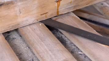 QSaw 901 Pallet Dismantler Band Saw Blade Cutting Performance | Nail-Embedded Wood