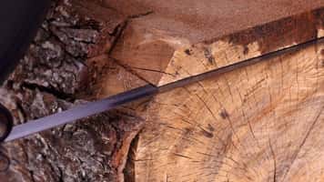 QSaw 905 Portable Sawmill Blade Cutting Pecan on a Band Sawmill