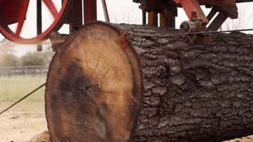 Portable Sawmill Blade in Action – QSaw 905 Cutting Hardwood Logs