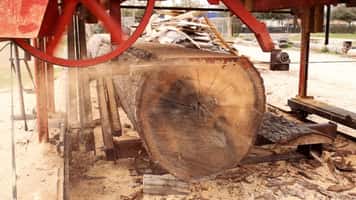 QSaw 905 Portable Sawmill Blade Cutting Performance | Milling Logs on a Portable Mill