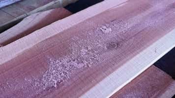 Wider and Stronger Sawmill Cutting with the QSaw 905 Plus Band Saw Blade