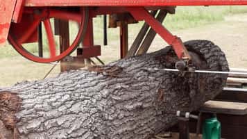 QSaw 905 Plus Sawmill Blade in Action Showing Superior Beam Strength vs Standard Sawmill Blades