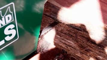 QSaw 906 Bi-Metal Sawmill Blade in Action Delivering Extended Life vs Standard Blades